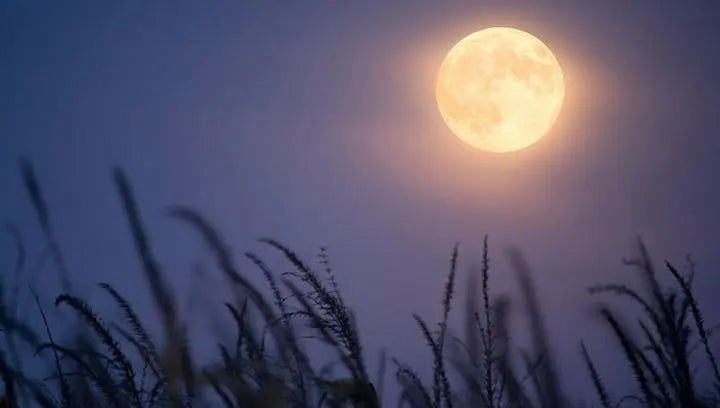 Things to Do (And Not Do) During Tonight's Full Corn Moon
