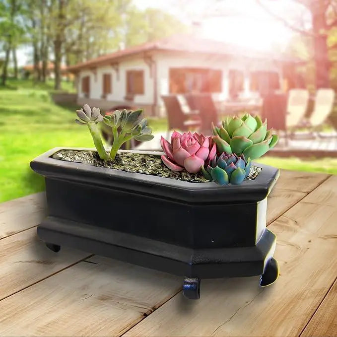 goth succulents Goth Succulent Planter Decor