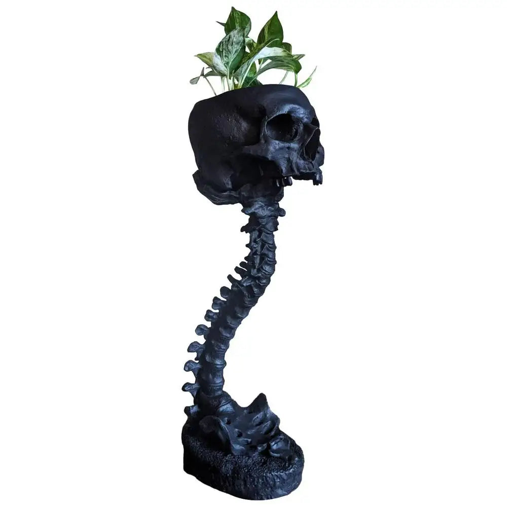 Spine Chiller Skull Planter