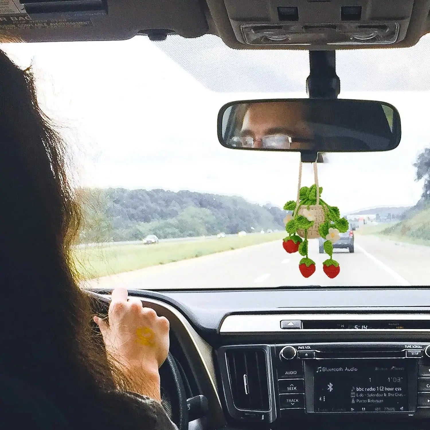 rear view mirror hanging plant Strawberry Hanging Plant for Car Decor